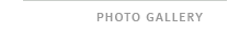 Photo Gallery