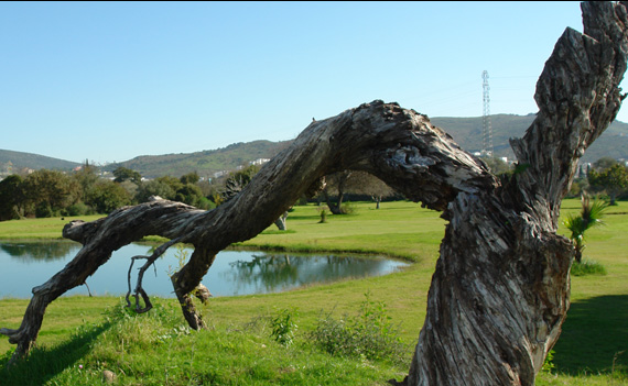 Bodrum Golf Club
