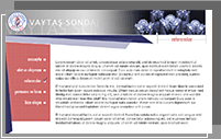 DEEZAYN :: Vaytas Sondaj