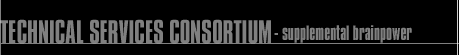 TechServCo - Supplemental Brainpower