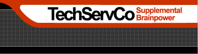 TechServCo - Supplemental Brainpower